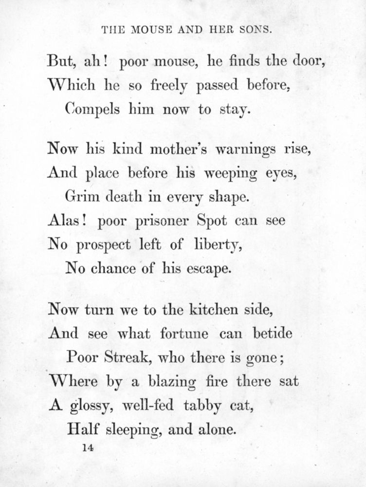 Scan 0019 of Surprising stories about the mouse and her sons, and the funny pigs