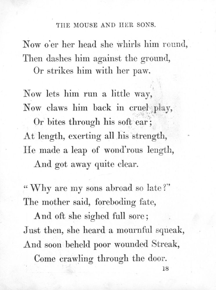 Scan 0023 of Surprising stories about the mouse and her sons, and the funny pigs