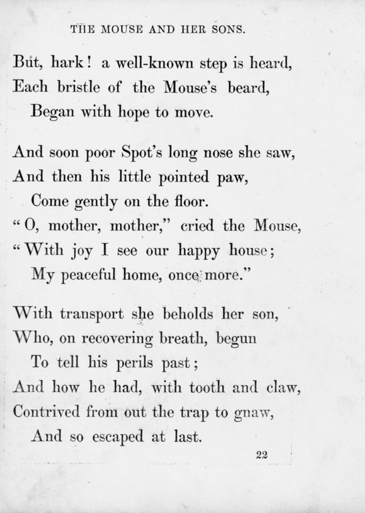 Scan 0027 of Surprising stories about the mouse and her sons, and the funny pigs