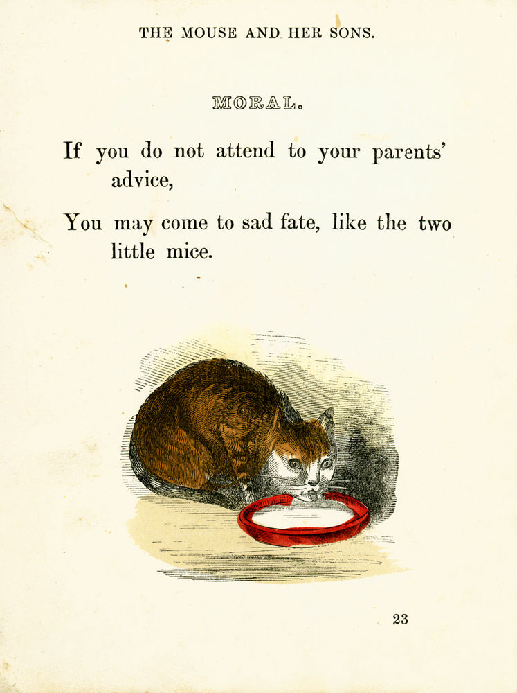 Scan 0028 of Surprising stories about the mouse and her sons, and the funny pigs