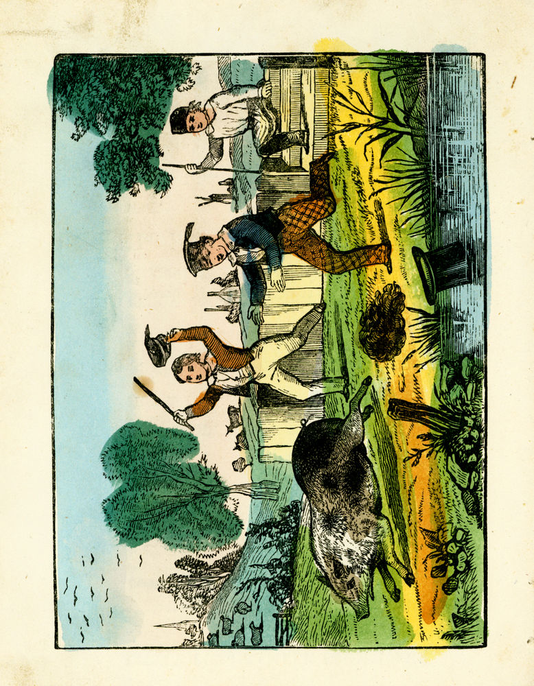 Scan 0038 of Surprising stories about the mouse and her sons, and the funny pigs