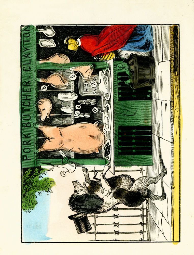 Scan 0046 of Surprising stories about the mouse and her sons, and the funny pigs