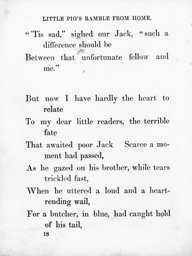 Scan 0047 of Surprising stories about the mouse and her sons, and the funny pigs