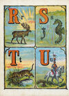 Thumbnail 0012 of The ABC of nature