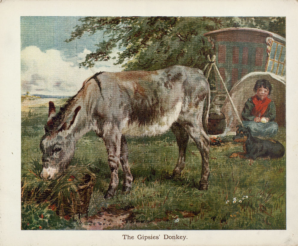 Scan 0005 of The book of donkeys