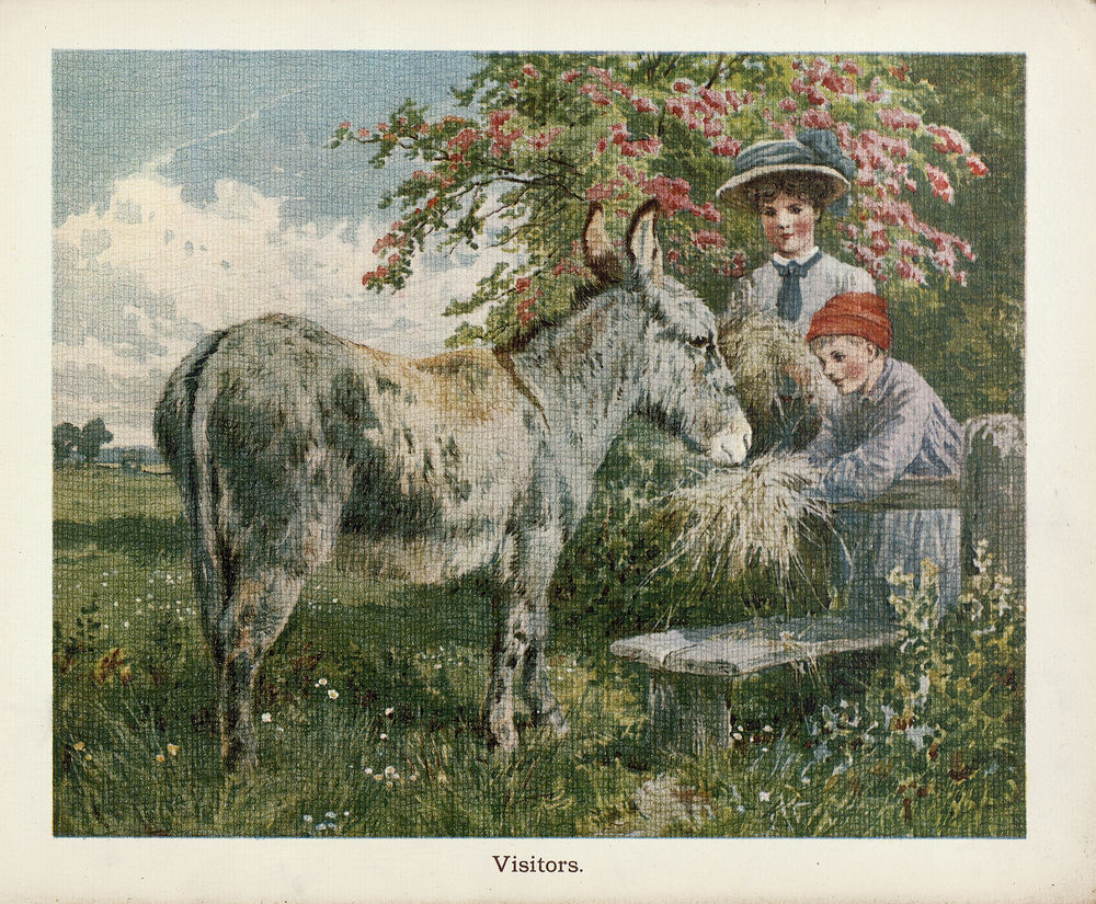 Scan 0013 of The book of donkeys