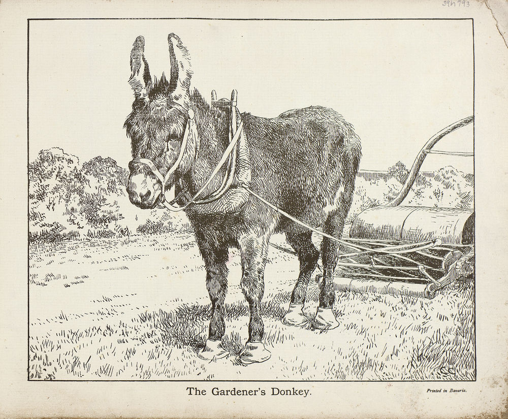 Scan 0015 of The book of donkeys