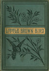 Read The little brown bird