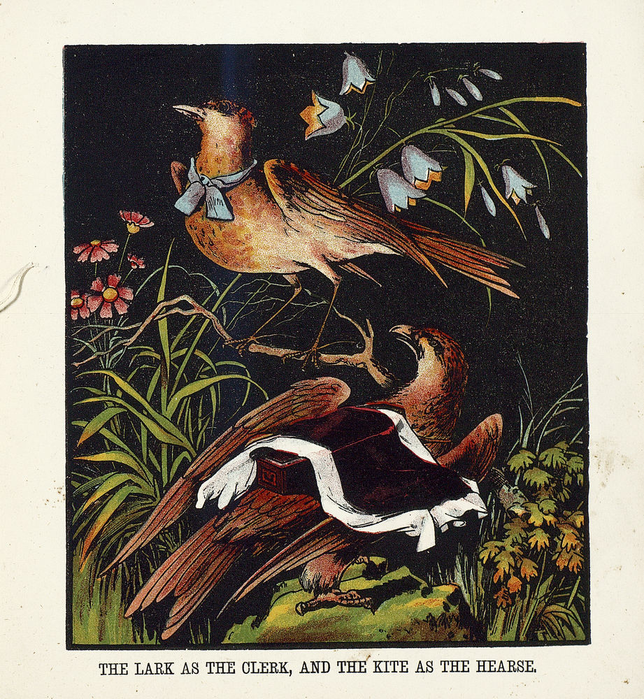 Scan 0007 of The story of Cock Robin