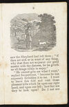 Thumbnail 0011 of The two lambs