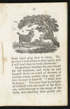 Thumbnail 0019 of The two lambs
