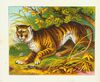 Thumbnail 0002 of Wild animals for children