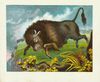 Thumbnail 0019 of Wild animals for children