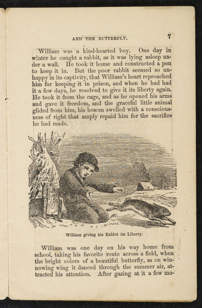 Scan 0009 of William Seaton and the butterfly