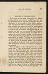 Thumbnail 0013 of William Seaton and the butterfly