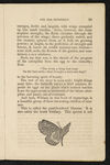Thumbnail 0017 of William Seaton and the butterfly