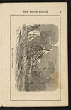 Thumbnail 0007 of The young sailor, or, The sea-life of Tom Bowline