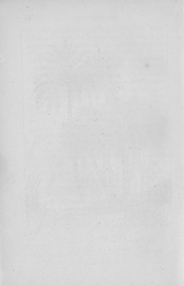 Scan 0033 of Wonders of the vegetable world