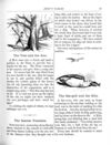 Thumbnail 0046 of Aesop