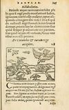 Thumbnail 0151 of Aesopi Phrigis Et Aliorvm Fabvlae