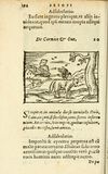 Thumbnail 0200 of Aesopi Phrigis Et Aliorvm Fabvlae