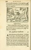 Thumbnail 0240 of Aesopi Phrigis Et Aliorvm Fabvlae