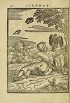 Thumbnail 0110 of Aisōpou mythoi
