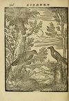 Thumbnail 0130 of Aisōpou mythoi
