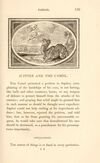 Thumbnail 0173 of The Fables of Aesop, and others