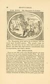 Thumbnail 0074 of Fables of Aesop and others