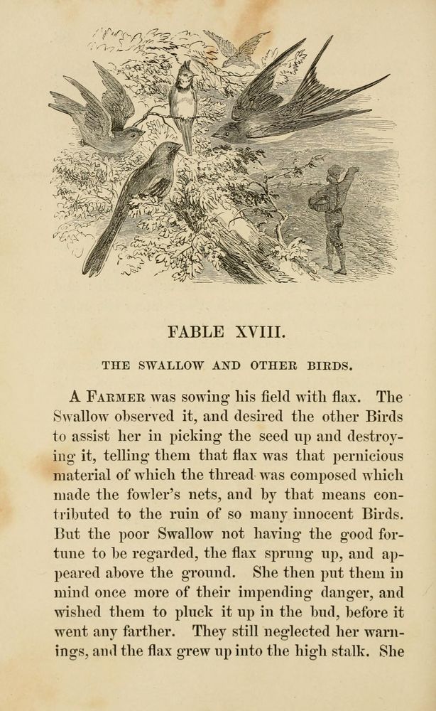 Scan 0106 of The fables of Aesop