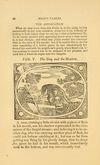 Thumbnail 0038 of Fables of Aesop and others