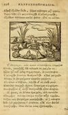 Thumbnail 0118 of Fabulæ Æsopi