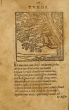 Thumbnail 0040 of Fabulae c. Aesopicae