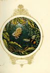 Thumbnail 0025 of Fairy Mary