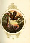 Thumbnail 0031 of Fairy Mary