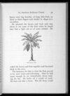 Thumbnail 0041 of An American Robinson Crusoe