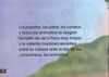 Thumbnail 0036 of Paco y el espejo