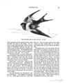 Thumbnail 0049 of Hans Christian Andersen