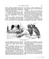 Thumbnail 0069 of Hans Christian Andersen