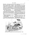 Thumbnail 0077 of Hans Christian Andersen