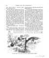 Thumbnail 0098 of Hans Christian Andersen