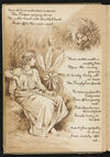 Thumbnail 0016 of The magic ring