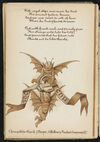 Thumbnail 0020 of The magic ring