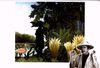 Thumbnail 0077 of Pustolov