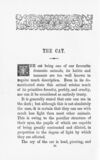 Thumbnail 0036 of A book of favourite animals