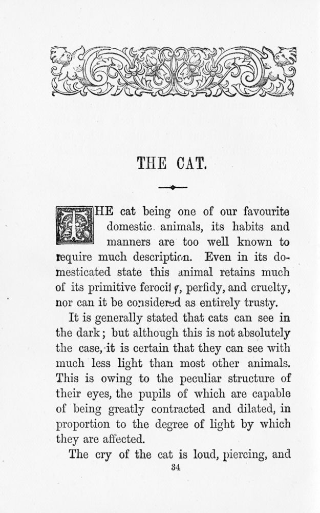 Scan 0036 of A book of favourite animals