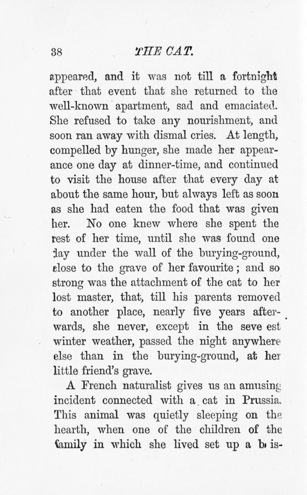 Scan 0040 of A book of favourite animals