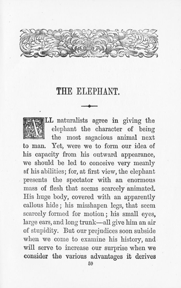 Scan 0061 of A book of favourite animals