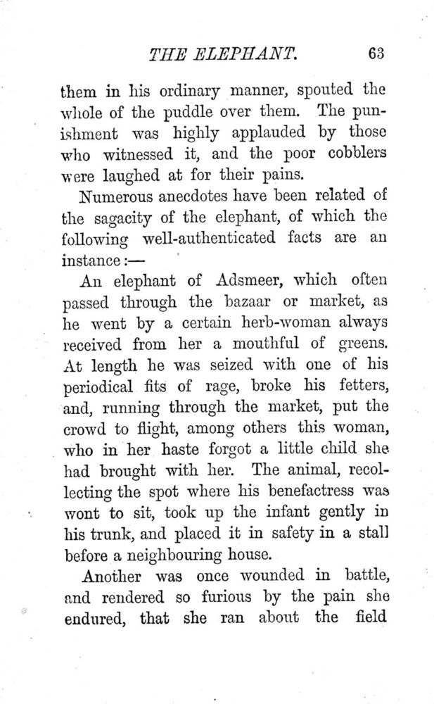 Scan 0066 of A book of favourite animals